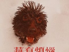 -e嘉宠物店(北大街店)
