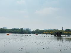 -大兴滨河森林公园