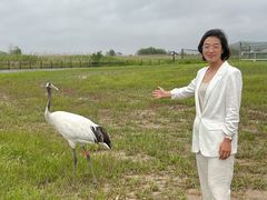 -盐城丹顶鹤湿地生态旅游区