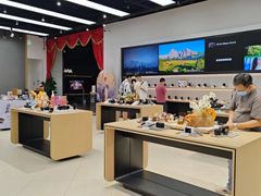 -Sony Store索尼(深圳深业上城店)