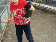 -武汉紫薇都市田园