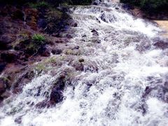 -黄龙山原始森林景区
