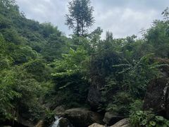 -龙窝子
