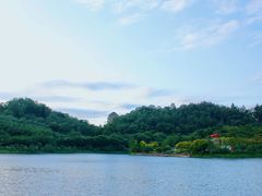 -番禺大夫山森林公园