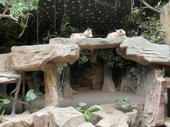 -长鹿旅游休博园