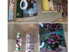 -德基艺术博物馆