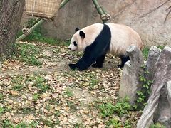 -常州淹城野生动物世界
