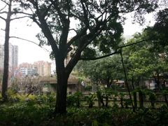 -晓港公园