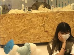 -怪兽屋·羊驼·猫咖·狗咖(俊华广场店)