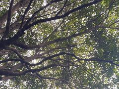 -我嘉书房(南翔名士居店)