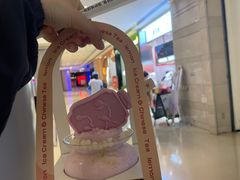 雪绒莓莓团扇冰-须尽欢·冰淇淋&中国茶(翔殷路店)