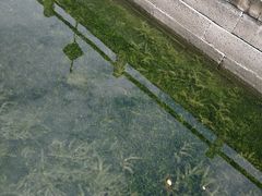 -海神庙