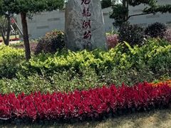-九龙湖公园