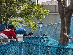 -上海市静安区慧思顿高瞻幼儿园