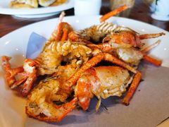 -顺德了能馆(虎门店)