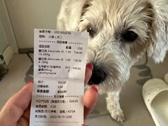 -北京派仕佳德动物医院·超导核磁·CT·神经科·骨科·内外科·急重症管理中心