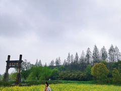 -杏花村文化旅游区