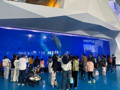 -泉城欧乐堡海洋极地世界