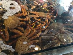 -蟹之国·精品蟹料理(极地店)