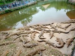 -广东茂名森林公园