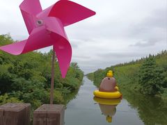 -黄海国家森林公园