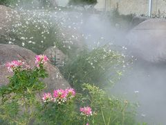 -罗红摄影艺术馆