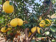 -容州国际大酒店