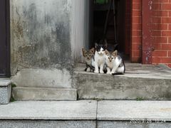 -辛亥革命博物院北区