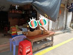 -昌记土制吊烧鸡(佛山市安信物流中心A座店)