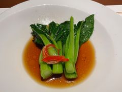 -觀芷隐轩