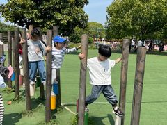 -苏州太湖西山岛开心农场