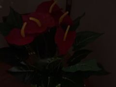 -淳SPA·精油按摩(蓝海御华大饭店)