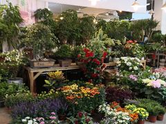 -双季花艺园艺市场(浦东店)