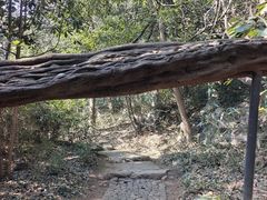 -杭州西湖风景名胜区-三生石