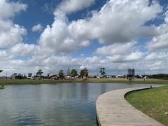 -春花秋色城市公园