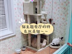-猫小院猫主题餐厅(三里屯店)