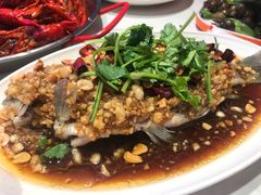 -杨氏青龙虾·羊蝎子(托乐嘉店)