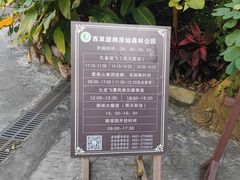 -西双版纳原始森林公园