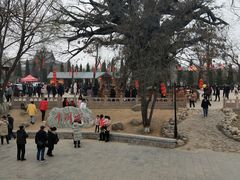 -大槐树寻根祭祖园