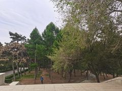 -长春市南湖公园