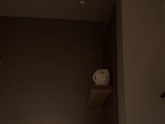 -泰合玺·精油疗愈 SPA(南京河西万达店)
