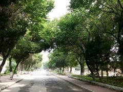 android_upload_pic-吉林大学(南岭校区)