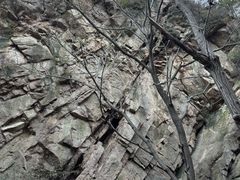 -大岭沟猕猴桃谷风景区