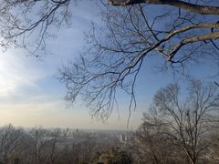 -一叶觅山(半边街店)