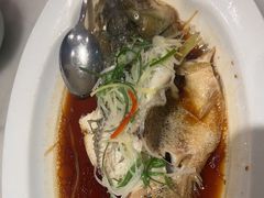 清蒸鲈鱼-鸭匠食府·挂炉烤鸭·新京菜(阜成路店)