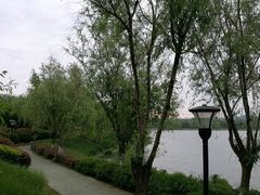 -羊山湖公园
