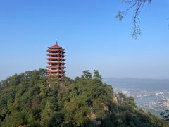 -缙云山景区