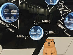 -上海儿童博物馆