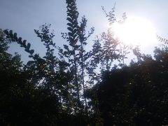 -四望岗公园