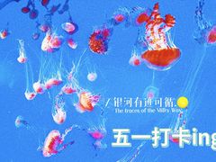 -重庆欢乐海底世界
